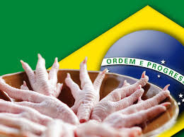 Brazil Frozen chicken Exporters