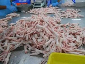 chicken feet